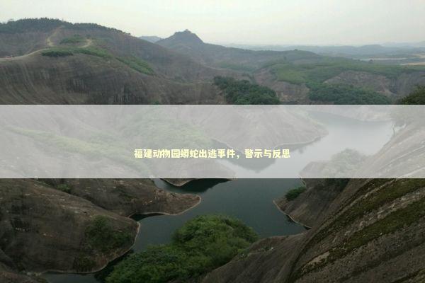 福建动物园蟒蛇出逃事件，警示与反思 泰国情降法事预约