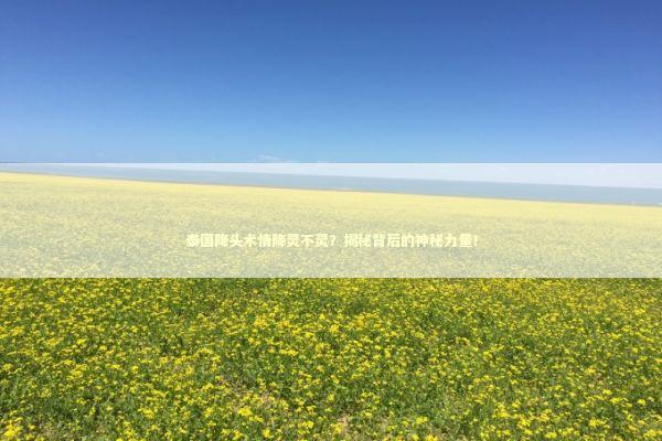 泰国降头术情降灵不灵？揭秘背后的神秘力量！ 泰国情降法事预约