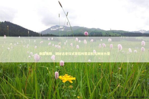 泰国情降，揭秘古老仪式背后所需资料与神秘力量 泰国情降法事预约