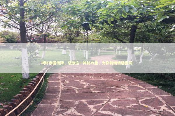 揭秘泰国情降，感激这一神秘力量，为你解锁情感困局！ 泰国情降法事预约