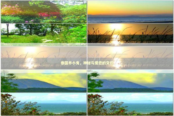 泰国养小鬼,神秘与爱恋的交织 泰国养小鬼,神秘与爱恋的交织 泰国情降法事预约