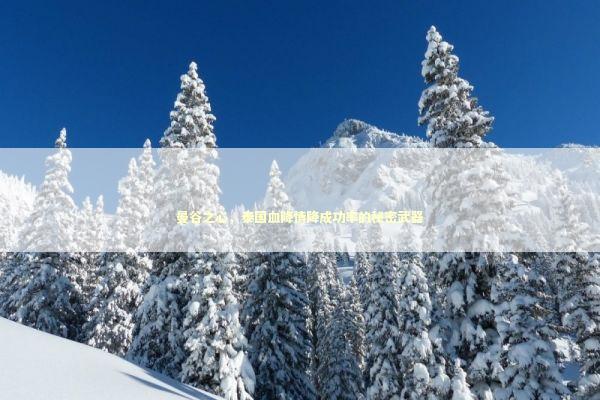 曼谷之心，泰国血降情降成功率的秘密武器 泰国情降法事预约