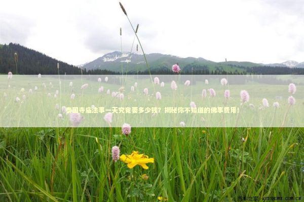 泰国寺庙法事一天究竟要多少钱？揭秘你不知道的佛事费用！ 泰国情降法事预约