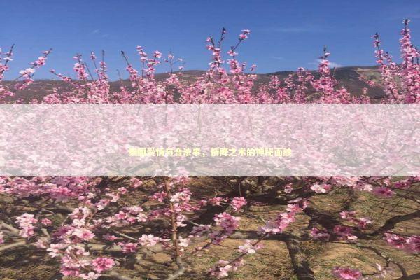 泰国爱情与合法事，情降之术的神秘面纱 泰国情降法事预约