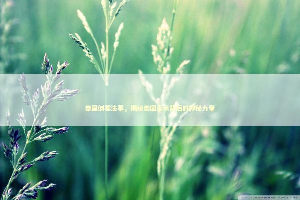 泰国倒霉法事，揭秘泰国巫术背后的神秘力量 泰国情降法事预约