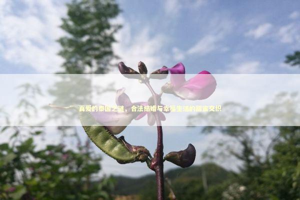 真爱的泰国之谜,合法结婚与幸福生活的甜蜜交织 真爱的泰国之谜,合法结婚与幸福生活的甜蜜交织 泰国情降法事预约