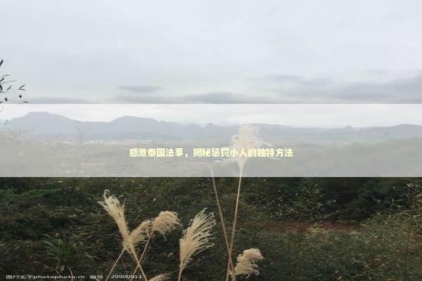 感激泰国法事，揭秘惩罚小人的独特方法 泰国情降法事预约