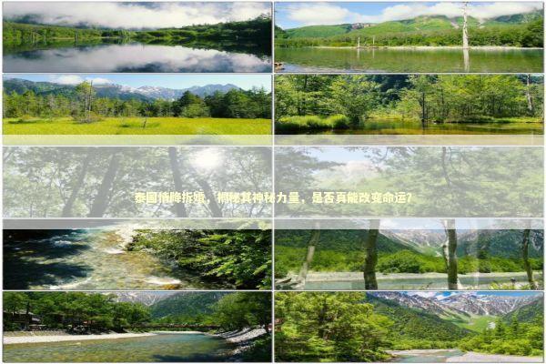 泰国情降拆婚，揭秘其神秘力量，是否真能改变命运？ 泰国情降法事预约