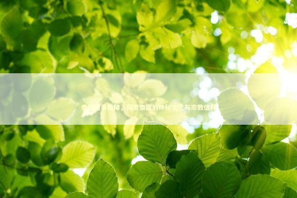 泰国法事情降,探索泰国的神秘文化与宗教信仰 泰国法事情降,探索泰国的神秘文化与宗教信仰 泰国情降法事预约