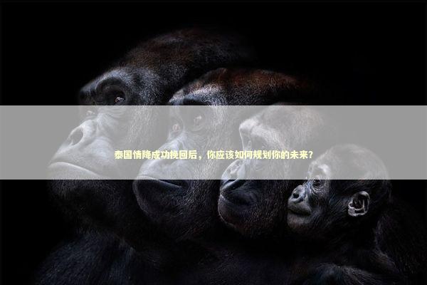 泰国情降成功挽回后,你应该如何规划你的未来? 泰国情降成功挽回后,你应该如何规划你的未来? 泰国情降法事预约