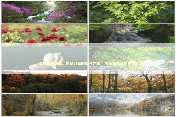 泰国墓地情降，神秘力量的探寻之旅 - 究竟多久才能见效？ 泰国情降法事预约