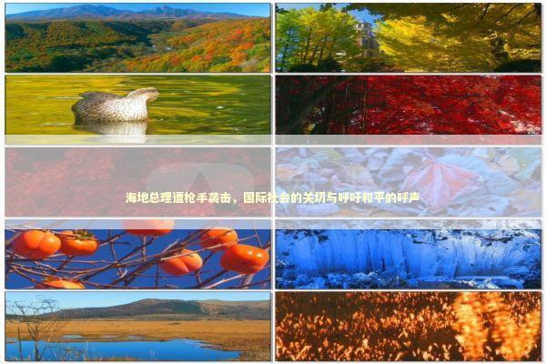 海地总理遭枪手袭击，国际社会的关切与呼吁和平的呼声 泰国情降法事预约