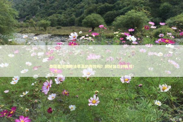 泰国墓地情降法事真的有效吗？揭秘背后的真相！ 泰国情降法事预约