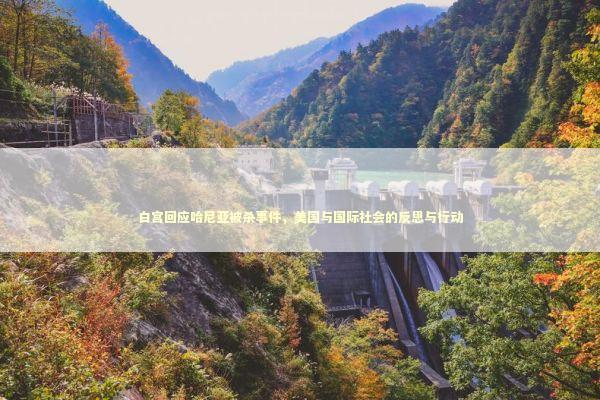 白宫回应哈尼亚被杀事件，美国与国际社会的反思与行动 泰国情降法事预约