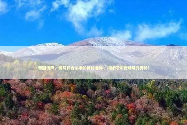 泰国情降，爱与和合法事的神秘差异，揭秘你未曾知晓的奥秘！ 泰国情降法事预约