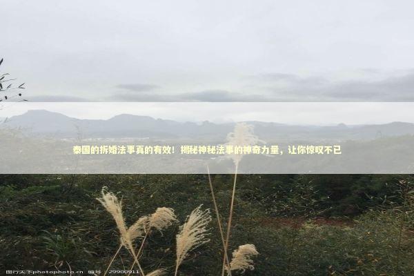 泰国的拆婚法事真的有效!揭秘神秘法事的神奇力量,让你惊叹不已 泰国的拆婚法事真的有效!揭秘神秘法事的神奇力量,让你惊叹不已 泰国情降法事预约