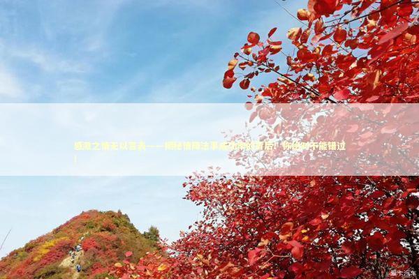 感激之情无以言表——揭秘情降法事成功率的背后！你绝对不能错过！ 泰国情降法事预约