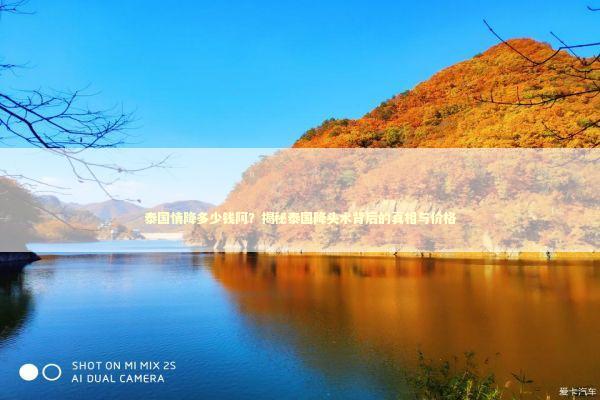 泰国情降多少钱阿？揭秘泰国降头术背后的真相与价格 泰国情降法事预约