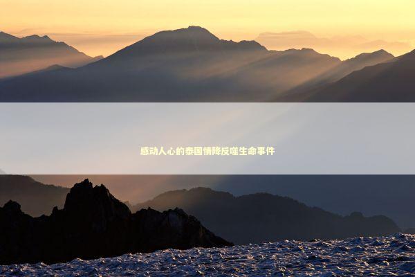 感动人心的泰国情降反噬生命事件 泰国情降法事预约