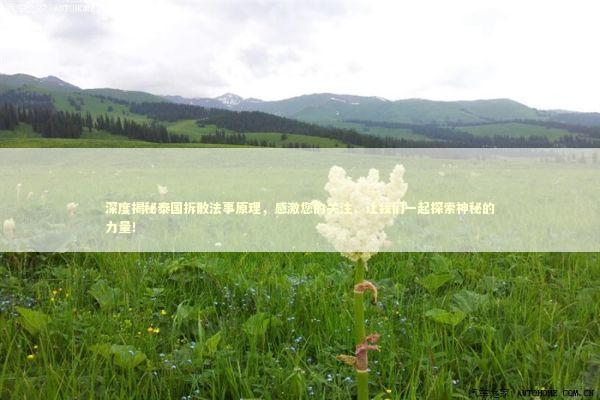 深度揭秘泰国拆散法事原理,感激您的关注,让我们一起探索神秘的力量! 深度揭秘泰国拆散法事原理,感激您的关注,让我们一起探索神秘的力量! 泰国情降法事预约