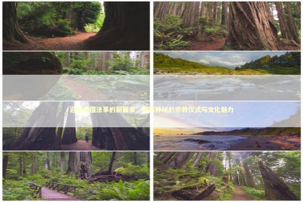 迎接泰国法事的新篇章,探索神秘的宗教仪式与文化魅力 迎接泰国法事的新篇章,探索神秘的宗教仪式与文化魅力 泰国情降法事预约