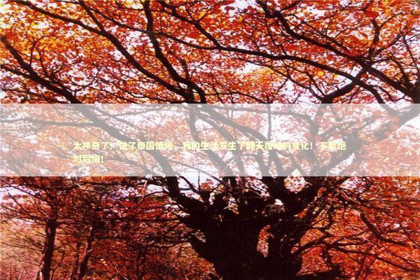 太神奇了！做了泰国情降，我的生活发生了翻天覆地的变化！不看绝对后悔！ 泰国情降法事预约