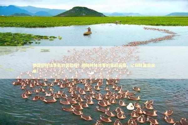 泰国招财法事真的灵验吗？揭秘神秘法事的背后真相，让你财富滚滚来！ 泰国情降法事预约